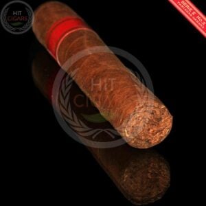 Partagas Serie E No.2 (Box of 5) - HitCigars