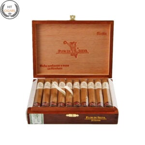 Flor de Selva Siesta (Box of 20) 🍂 ‣ Duty Free Price 👍